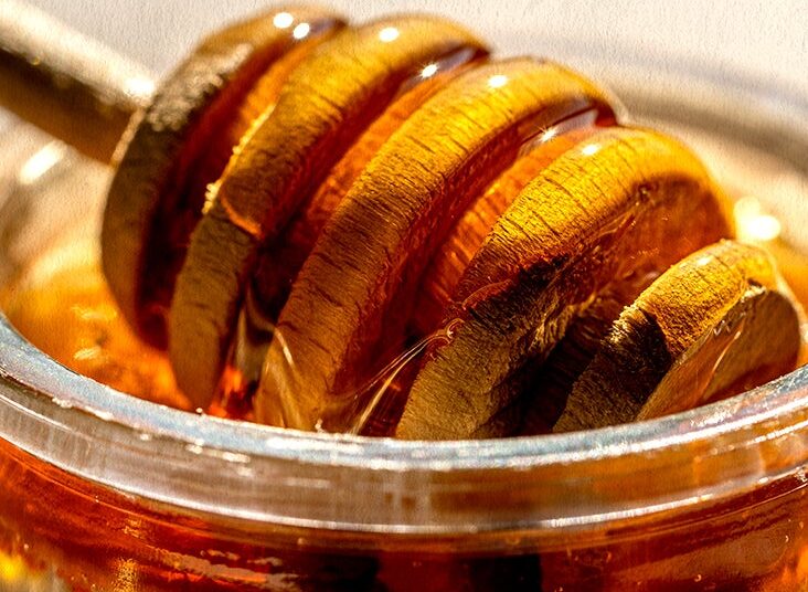 Alzheimer : le métabolisme du glucose dans le cerveau pourrait-il ouvrir la voie à de nouveaux traitements ?
