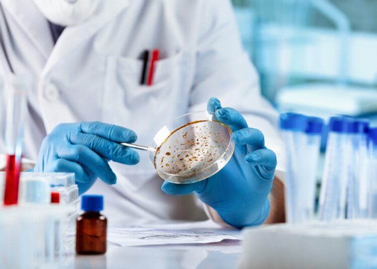 Des milliers d'arbovirus et de flavivirus uniques identifiés à partir d'échantillons collectés entre 1954 et 2018