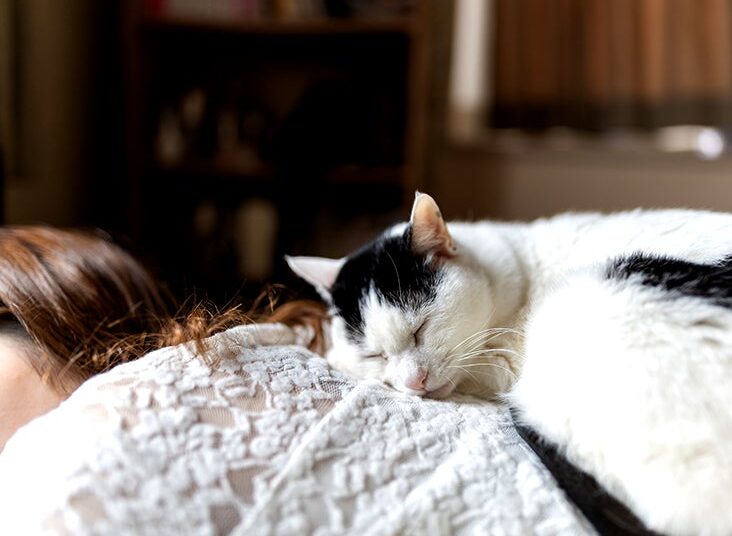 Faire une sieste de plus de 30 minutes liée à un risque plus élevé d'obésité et d'hypertension artérielle