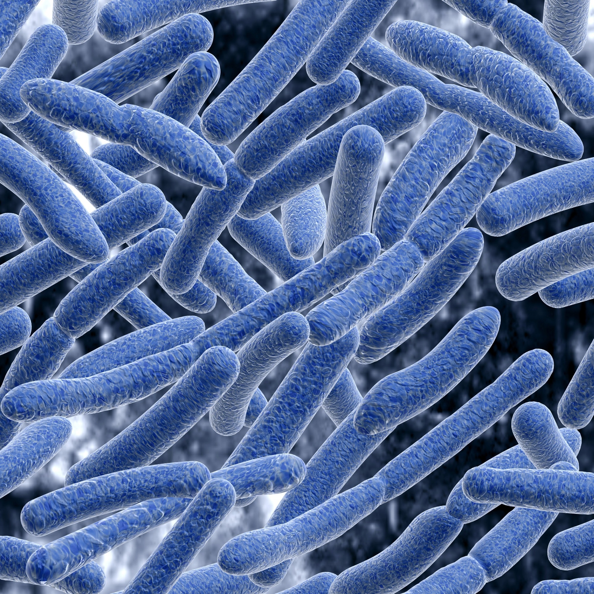 Implications écologiques et évolutives du partage des métabolites entre différents microbes dans le microbiome intestinal