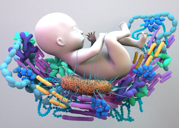 Study: Early-Life Gut Microbiota Governs Susceptibility to Colitis via Microbial-Derived Ether Lipids. Image Credit: Design_Cells / Shutterstock
