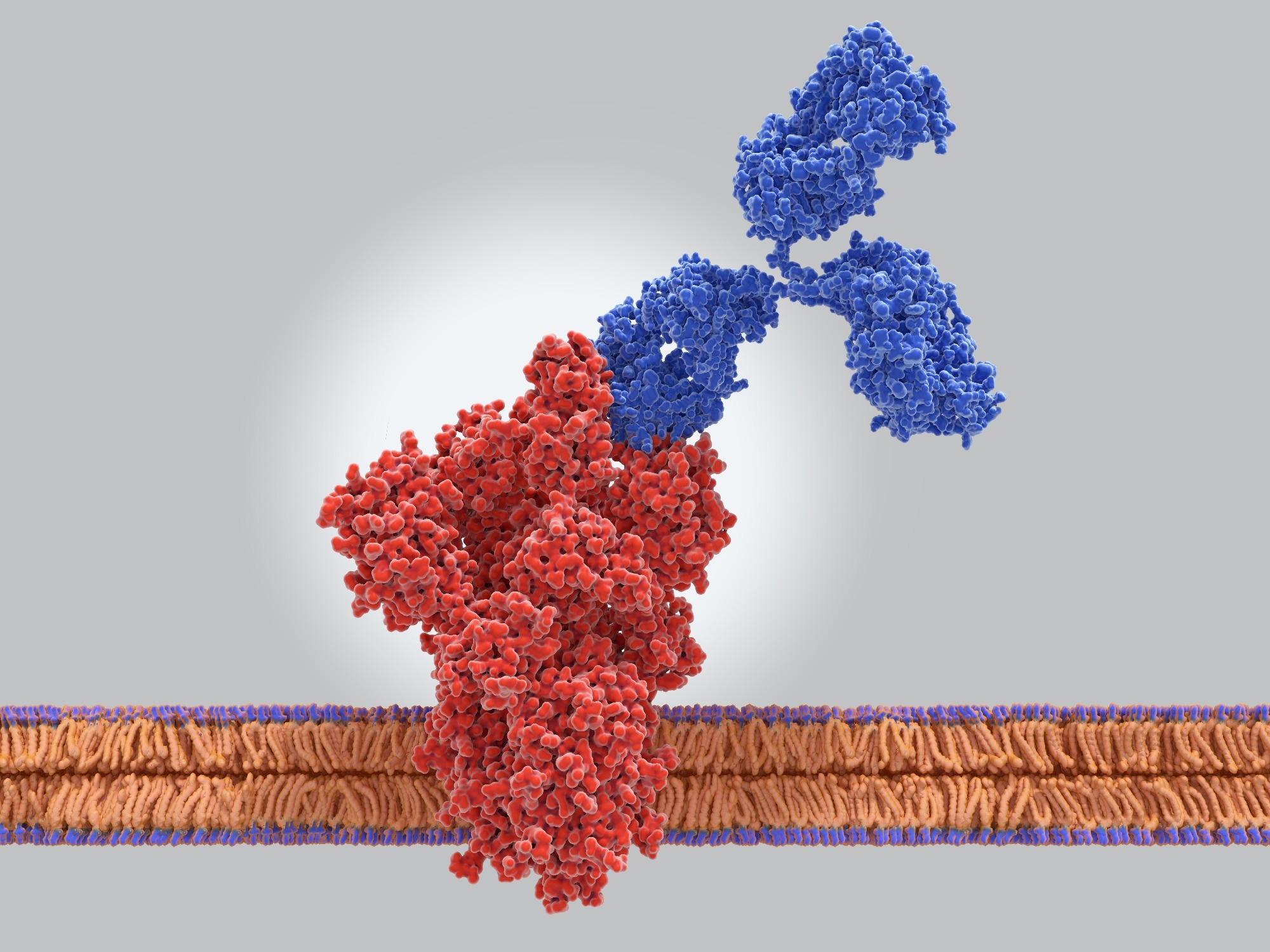 Study: Loss-of-function mutation in Omicron variants reduces spike protein expression and attenuates SARS-CoV-2 infection. Image Credit: JuanGaertner/Shutterstock.com