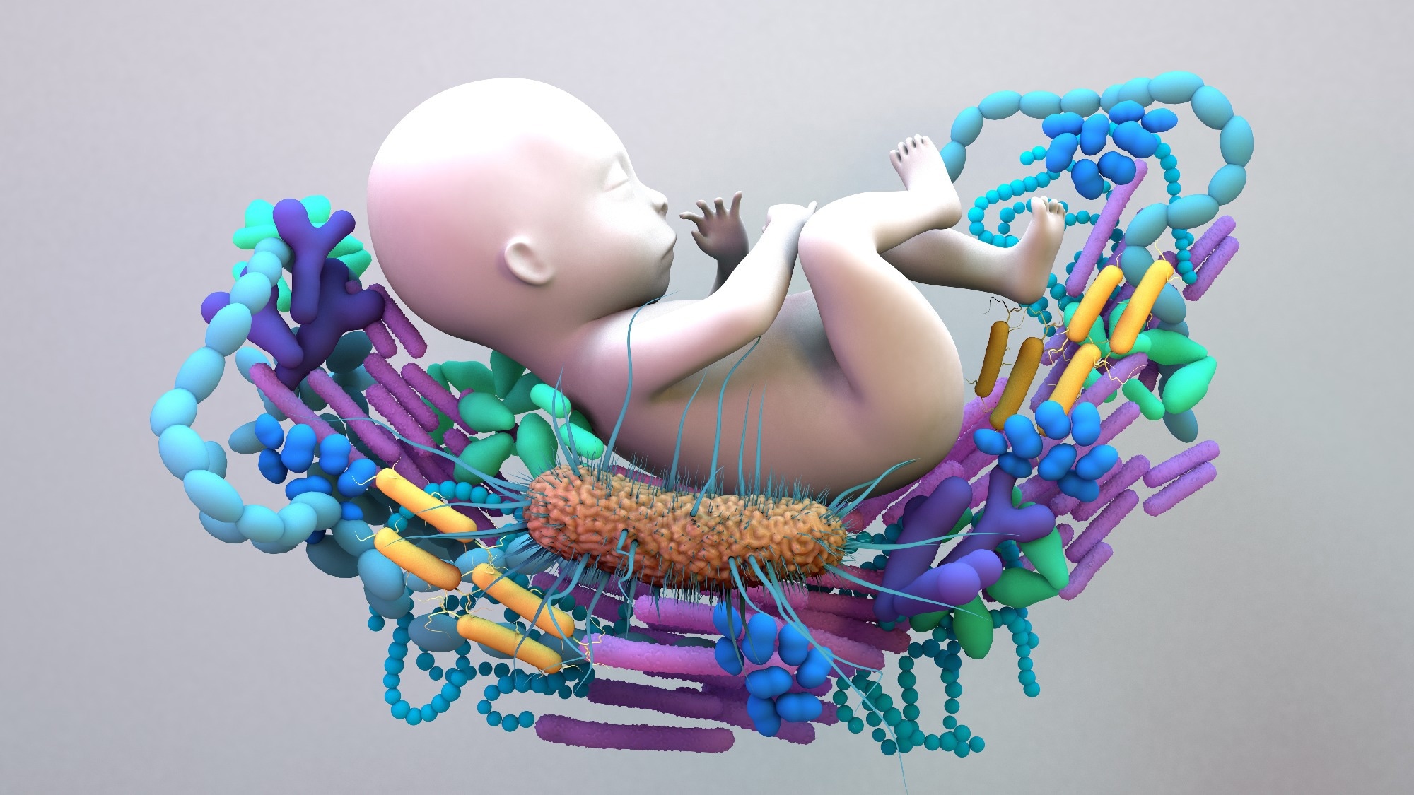 Study: Impact of the mother