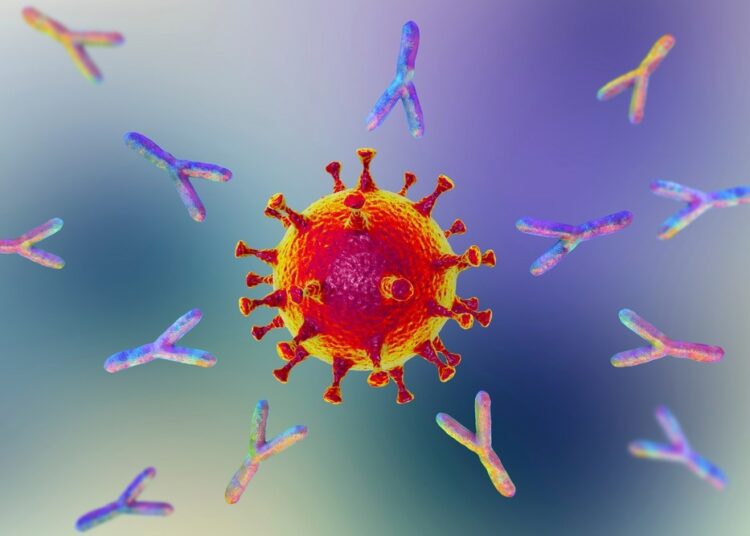 Study: The Breadth of the Neutralizing Antibody Response to Original SARS-CoV-2 Infection is Linked to the Presence of Long COVID Symptoms. Image Credit: KaterynaKon/Shutterstock.com