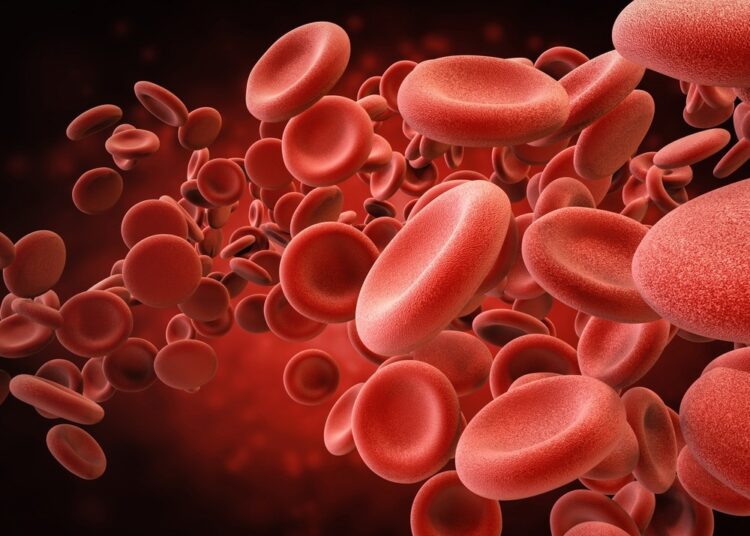 Study: Coronavirus pathogenesis in mice explains the SARS-CoV-2 multi-organ spread by red blood cells hitch-hiking. Image Credit: honlamaiPhoto/Shutterstock.com  Background