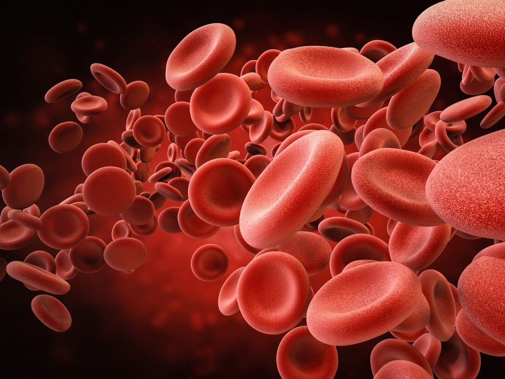 Étude : La pathogenèse du coronavirus chez la souris explique la propagation multi-organes du SRAS-CoV-2 par l'auto-stop des globules rouges.  Crédit d'image : honlamaiPhoto/Shutterstock.com