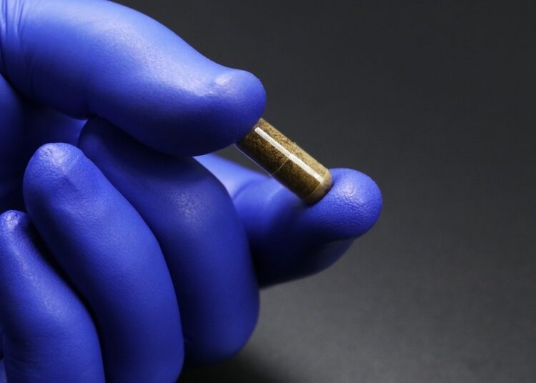 Study: Retrospective Analysis of the Safety and Efficacy of Fecal Microbiota, Live-jslm (REBYOTA™) Administered Under Enforcement Discretion to Patients with Clostridioides difficile Infection. Image Credit: TopMicrobialStock/Shutterstock.com