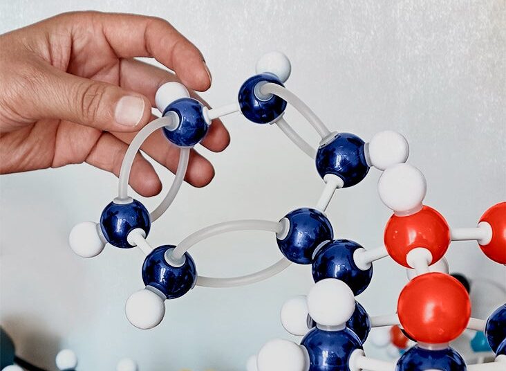 Le traitement nanomédicamenteux du cancer de l'ovaire conduit à un taux de survie de 80% chez les animaux