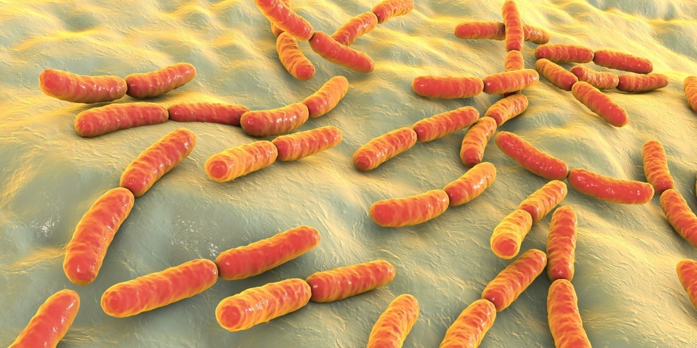 Study: Dietary tryptophan metabolite released by intratumoral Lactobacillus reuteri facilitates immune checkpoint inhibitor treatment. Image Credit: Kateryna Kon/Shutterstock.com