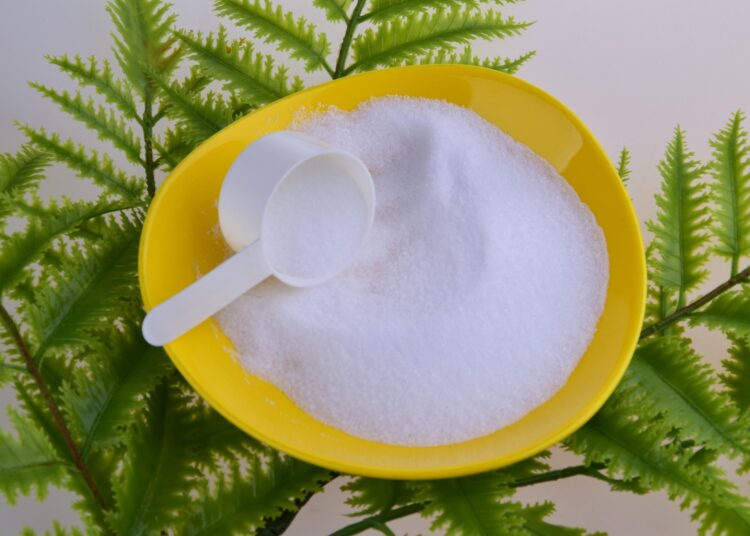 Review: Effect of Non-Nutritive Sweeteners on the Gut Microbiota. Image Credit: cruspan / Shutterstock