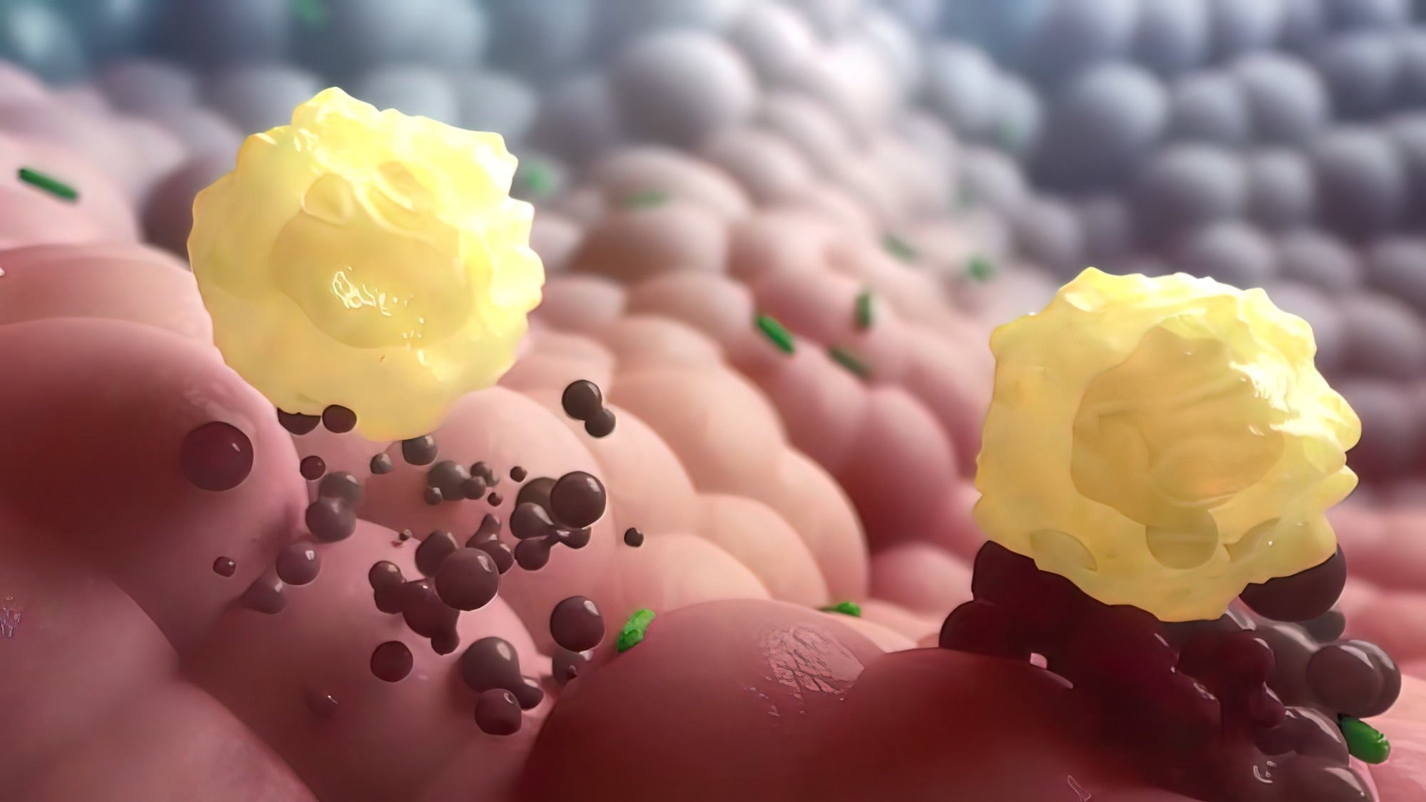 Study: Limited induction of polyfunctional lung-resident memory T cells against SARS-CoV-2 by mRNA vaccination compared to infection. Image Credit: piccreative / Shutterstock