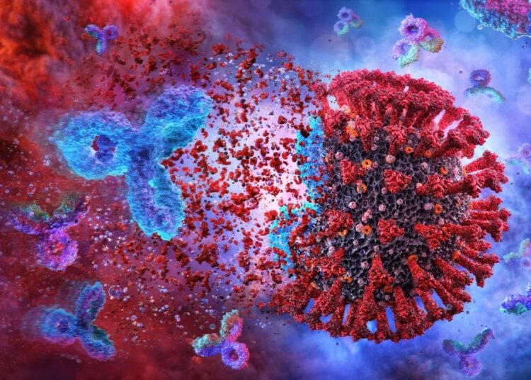 Study: Lasting first impression: Pre-existing immunity restricts mucosal antibody responses during Omicron breakthrough. Image Credit: CoronaBorealisStudio/Shutterstock.com