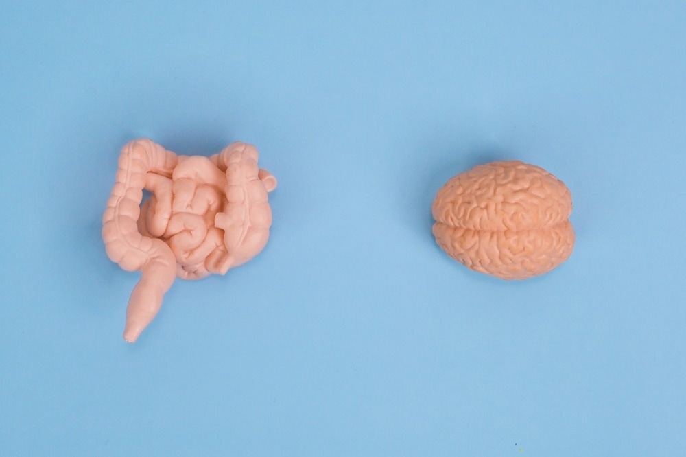 Study: Guts Imbalance Imbalances the Brain: A Review of Gut Microbiota Association With Neurological and Psychiatric Disorders. Image Credit: Joyisjoyful/Shutterstock