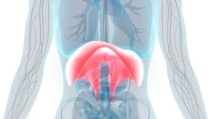 Pourquoi les aide-soignants ont-ils une boule de stress au diaphragme ?
