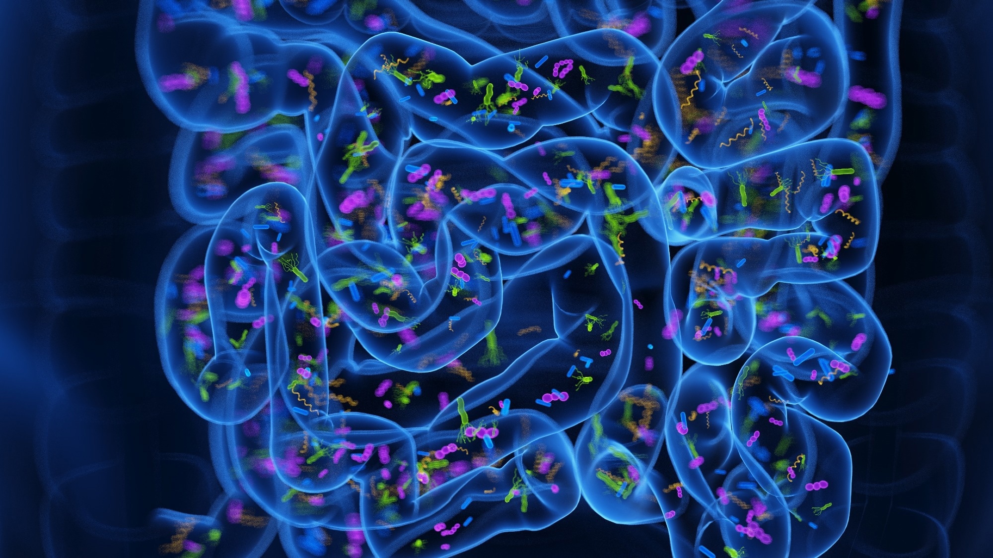 Study: Reconstructing the landscape of gut microbial species across 29,000 diverse individuals. Image Credit: SciePro / Shutterstock