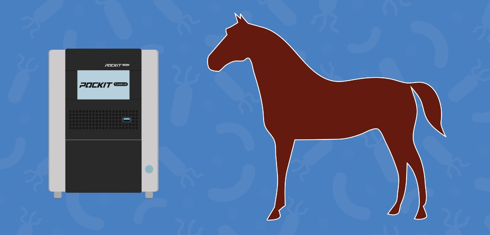 Test PCR interne simple pour un diagnostic plus rapide de la gourme