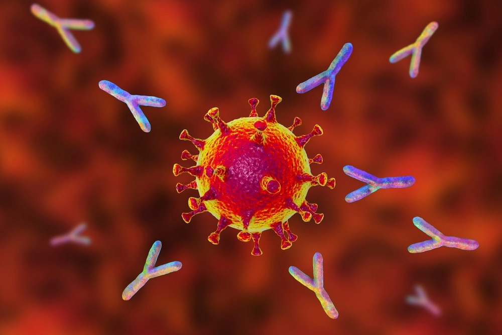 Étude : L'extraction de répertoires en profondeur révèle des anticorps neutralisants de coronavirus ultra-larges ciblant plusieurs épitopes de pointe. Crédit d'image : KaterynaKon/Shutterstock.com
