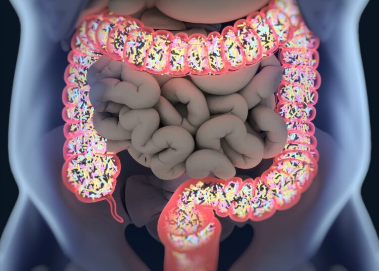Study: The Effect of a Planetary Health Diet on the Human Gut Microbiome: A Descriptive Analysis. Image Credit: AnatomyImage/Shutterstock.com