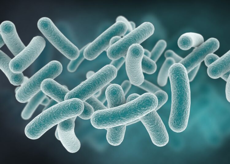 Study: A survey on antimicrobial resistance genes of frequently used probiotic bacteria, 1901 to 2022. Image Credit: MilletStudio / Shutterstock.com