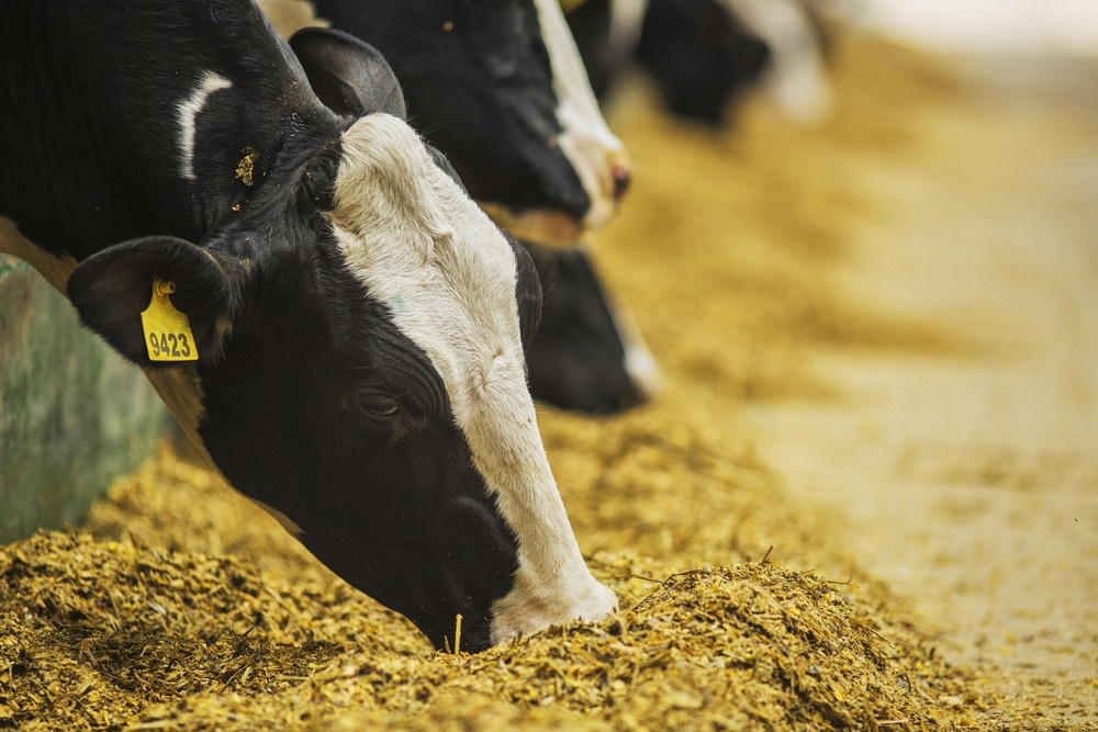 Study: Exploring scenarios for the food system–zoonotic risk interface. Image Credit: SerhiyHorobets/Shutterstock.com