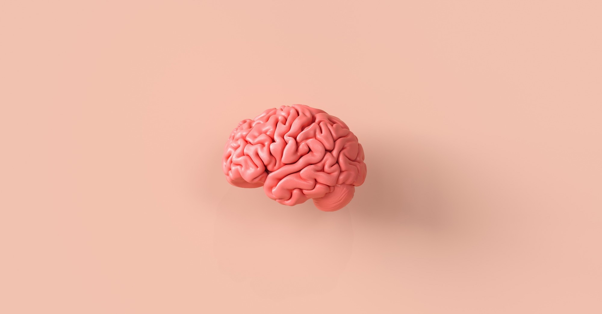 Study: A somato-cognitive action network alternates with effector regions in motor cortex. Image Credit: r.classen/Shutterstock.com