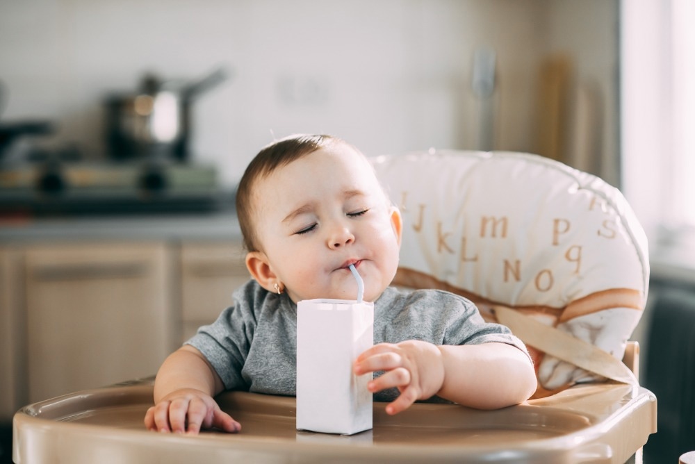Study: Developmental Contributions to Obesity: Nutritional Exposures in the First Thousand Days. Image Credit: komokvm/Shutterstock.com