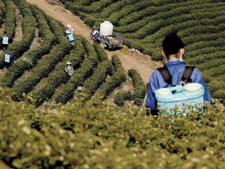 10 pesticides couramment utilisés directement liés à la maladie de Parkinson dans une nouvelle étude
