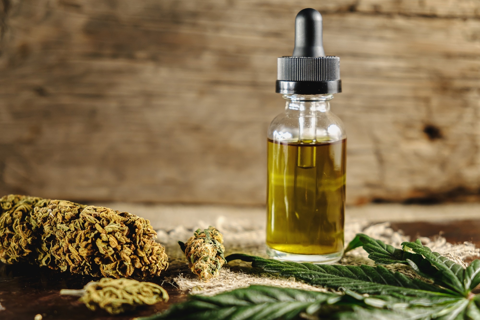 Study: Cognitive test performance in chronic cannabis flower users, concentrate users, and non-users. Image Credit: Alexander_Volkov / Shutterstock.com