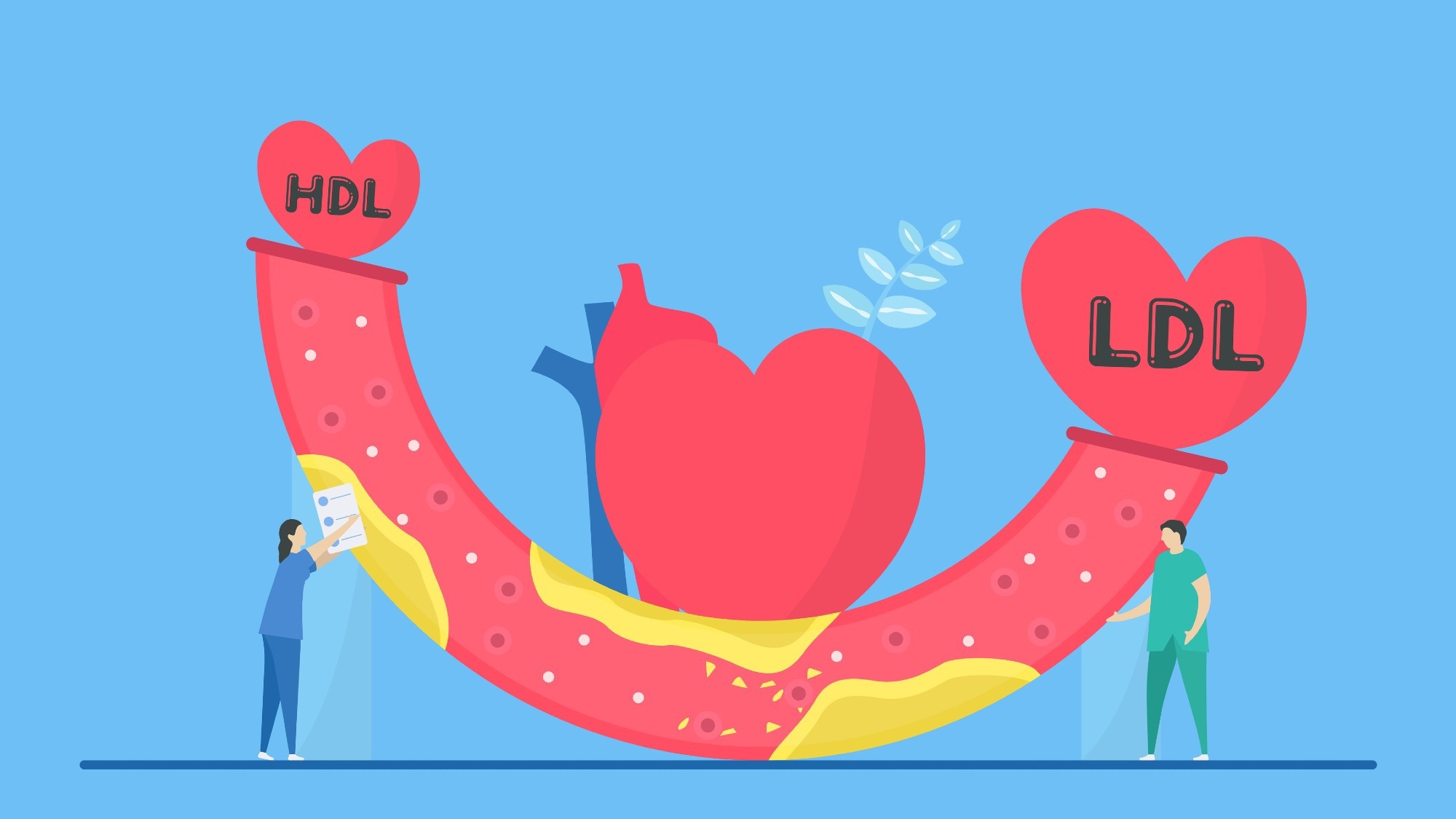 Study: Elevation in white blood cell count and development of hyper LDL cholesterolemia. Image Credit: DaiYim/Shutterstock.com
