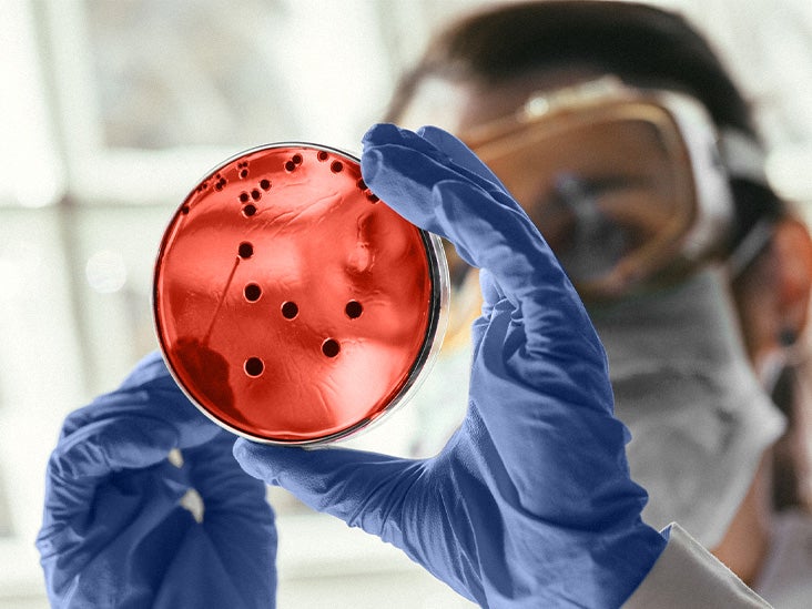 La thérapie génique pourrait être un futur traitement efficace pour la maladie polykystique des reins