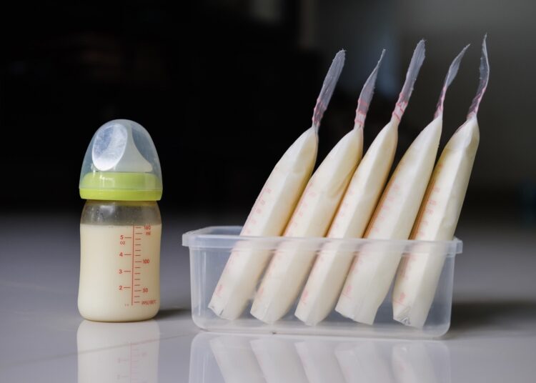 Study: Associations between Maternal Nutrition and the Concentrations of Human Milk Oligosaccharides in a Cohort of Healthy Australian Lactating Women. Image Credit: Paradee Siriboon / Shutterstock.com