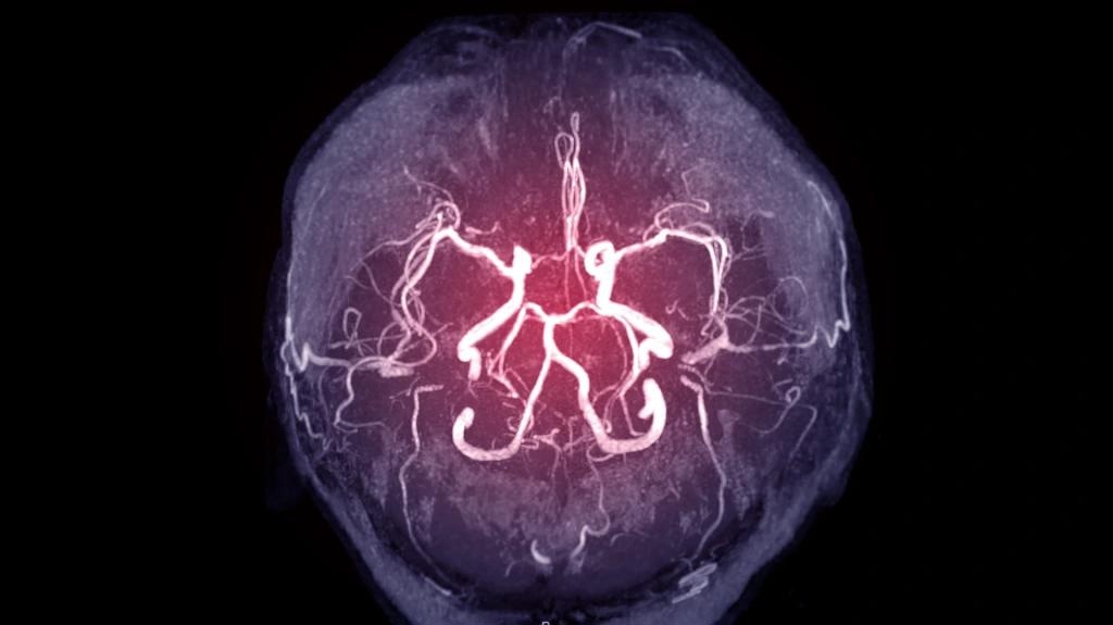 Brain’s primary auditory cortex favors positive vocalizations coming from the left side
