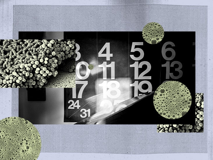 Le microbiome intestinal semble fluctuer tout au long de la journée et au fil des saisons