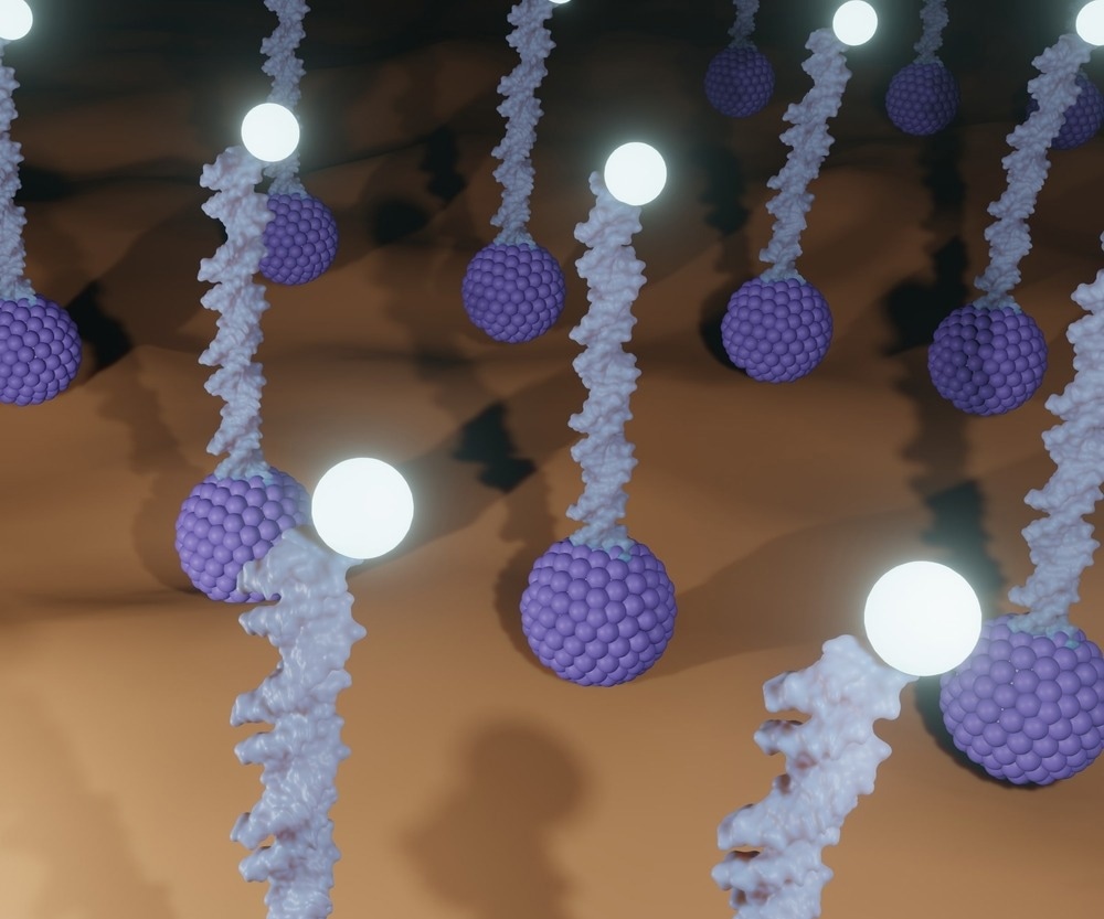 Polyvalence du biocapteur ;  De la chimie analytique au diagnostic