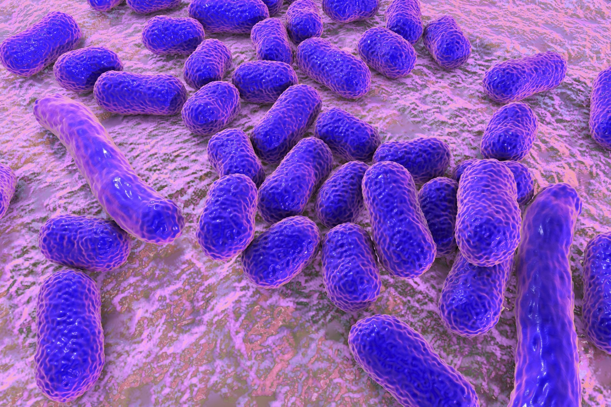 Study: Streptothricin F is a bactericidal antibiotic effective against highly drug-resistant gram-negative bacteria that interacts with the 30S subunit of the 70S ribosome. Image Credit: Kateryna Kon / Shutterstock