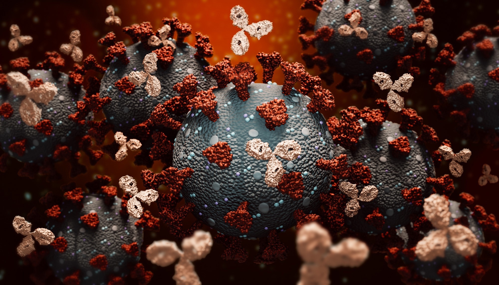 Study: Broadly neutralizing antibodies against sarbecoviruses generated by immunization of macaques with an AS03-adjuvanted COVID-19 vaccine. Image Credit: MattL_Images/Shutterstock.com