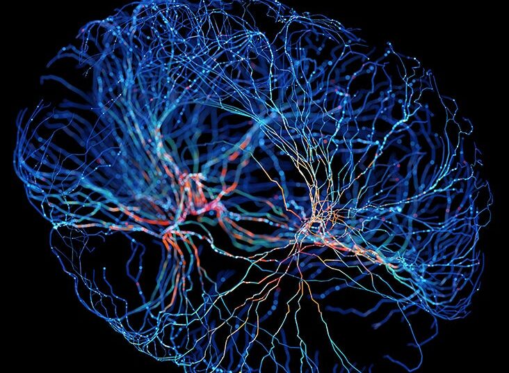 La stimulation transcrânienne pourrait-elle réduire les lésions cérébrales après un AVC ?