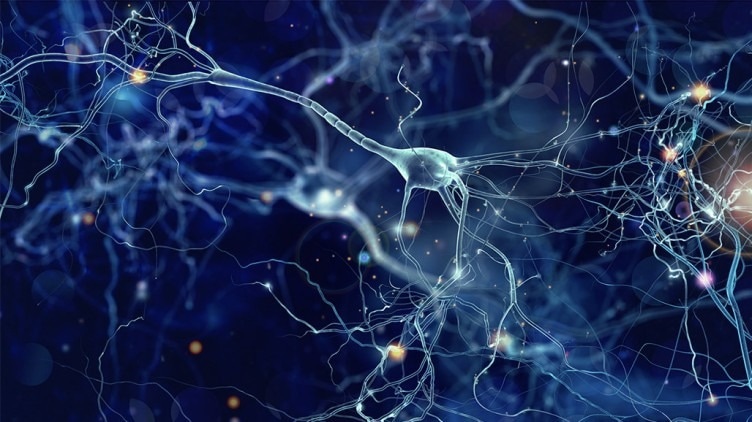 ACROBiosystems Aneuro s'associe aux biopuces diagnostiques