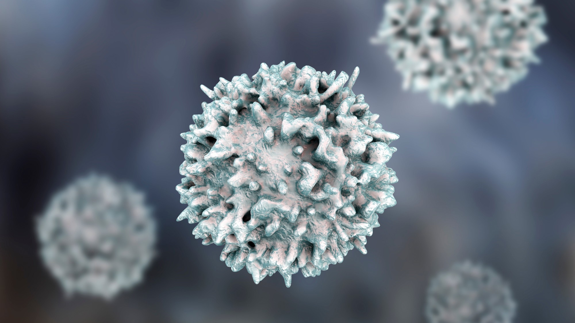 Study: Gut microbiota-derived lipid metabolites facilitate regulatory T cell differentiation. Image Credit: Kateryna Kon / Shutterstock.com