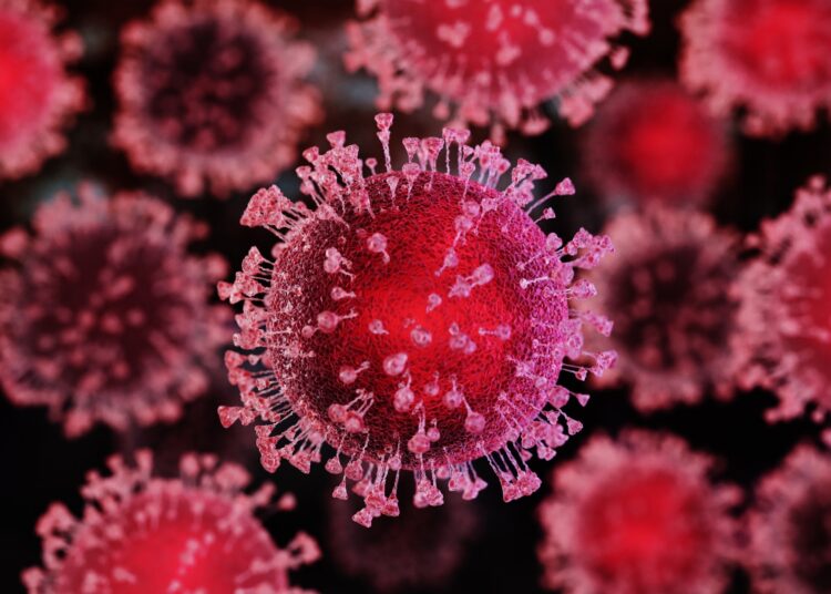 Study: Humoral immune response to omicron infection in long-term Wuhan-Hu-1-imprinted population. Image Credit: visualstock / Shutterstock.com