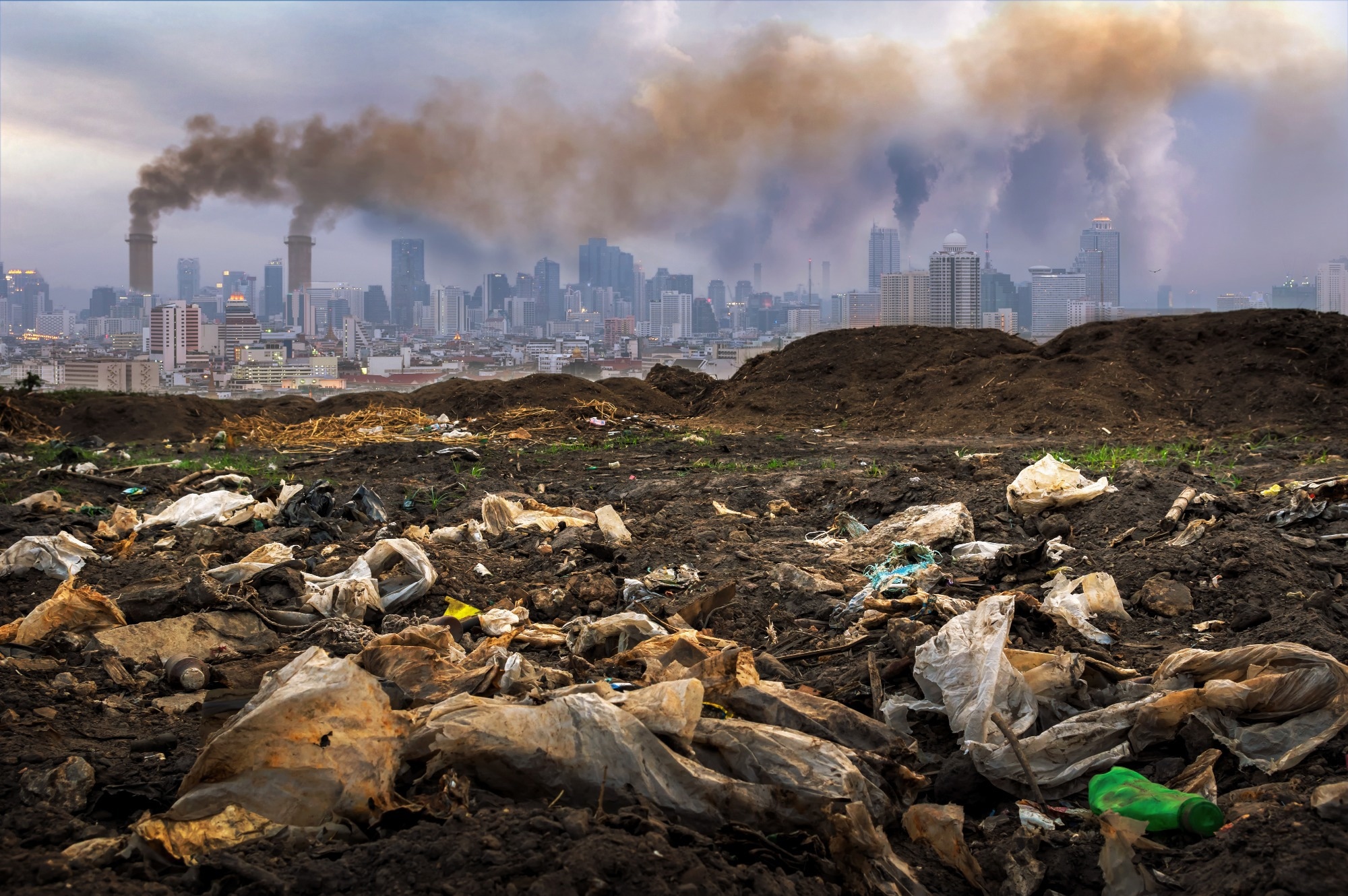 Study: Climate change, airborne allergens, and three translational mitigation approaches. Image Credit: 24Novembers / Shutterstock.com