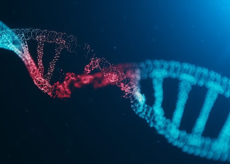 Study: Association between the use of muscle-building supplements and DNA damage in resistance training practitioners. Image Credit: Rost9/Shutterstock.com