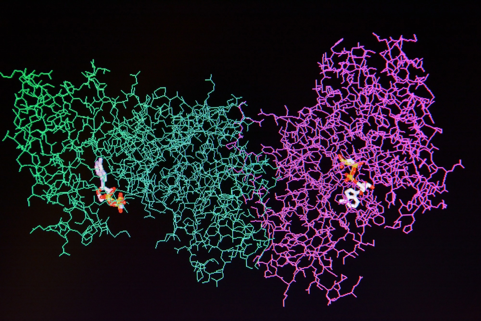Proteomics, protein
