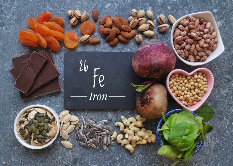 Study: Iron Nutrition of Pre-Schoolers in High-Income Countries: A Review. Image Credit: DanijelaMaksimovic/Shutterstuck.com