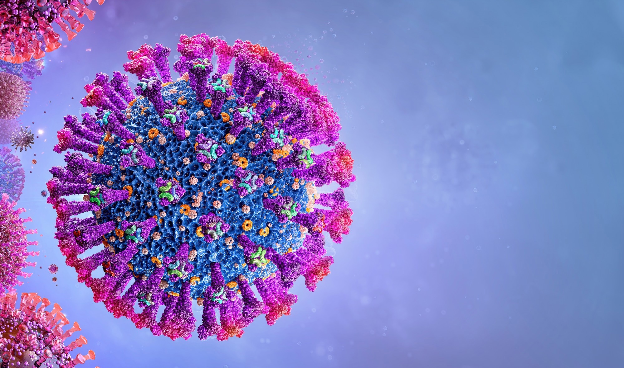 Study: RBD-based high affinity ACE2 antagonist limits SARS-CoV-2 replication in upper and lower airways. Image Credit: CoronaBorealis tudio/Shutterstock.com