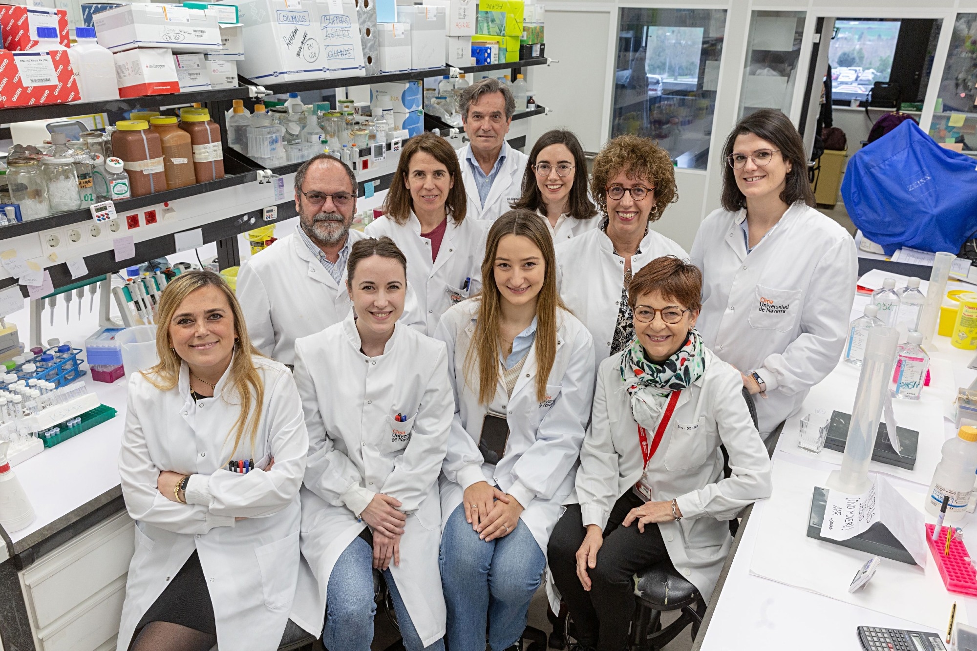 Combination therapy markedly increases survival in preclinical models of acute myeloid leukemia