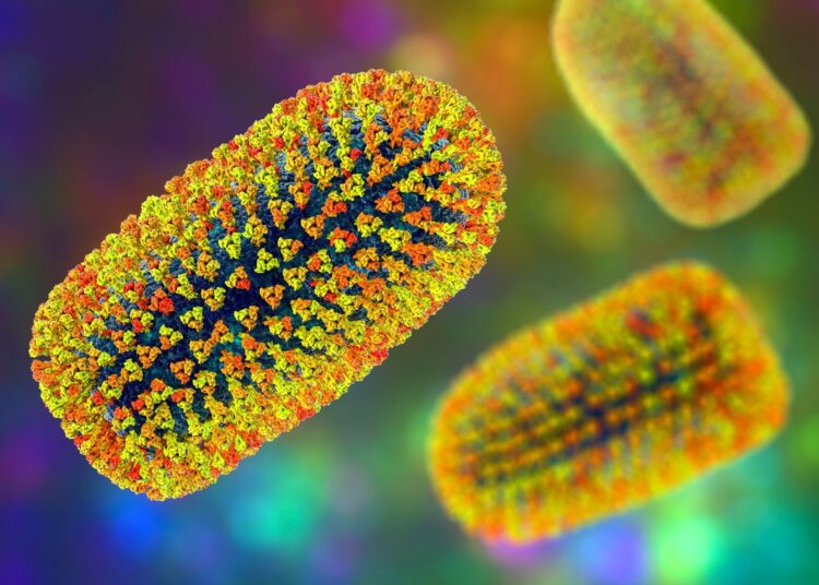 Le vaccin antirabique à ARNm induit une réponse immunitaire durable chez les macaques
