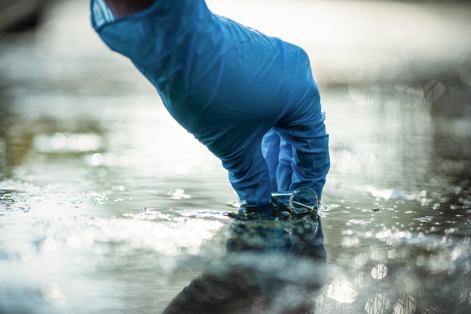 Study: COVID-19 pharmaceuticals in aquatic matrices: The threatening effects over cyanobacteria and microalgae. Image Credit: Happy_Nati/Shutterstock.com