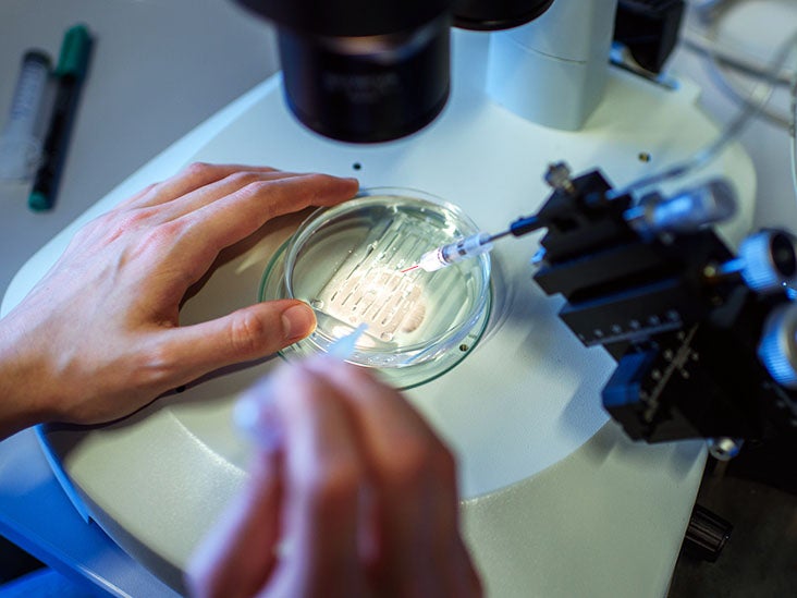 Les scientifiques parviennent à inverser l'amylose du cœur pour la première fois