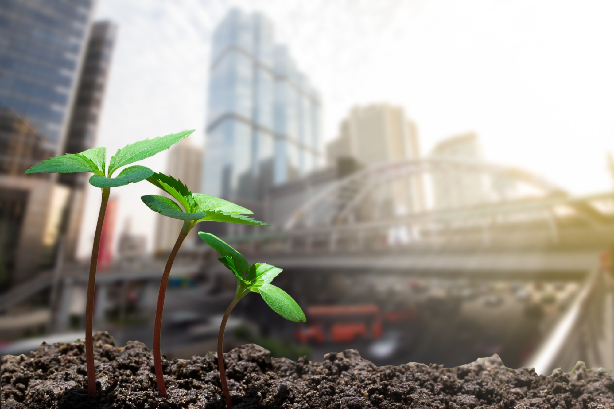 Study: Green space exposure on depression and anxiety outcomes: A meta-analysis. Image Credit: Shark_749/Shutterstock.com